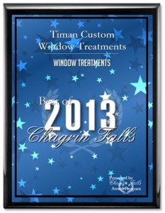 Timan 2013 Award