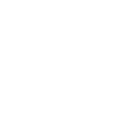 instagram  icon