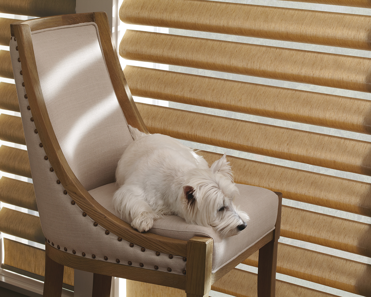 Pet Safe Window Coverings for Your Furry Family Pet Safety